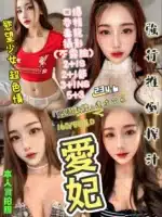 新竹定點茶-愛妃/160/50/23/D