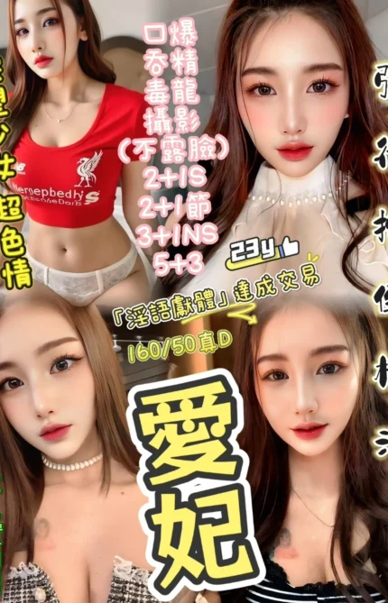 新竹定點茶-愛妃/160/50/23/D