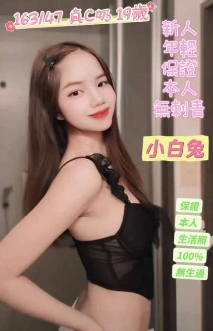 台南定點茶-小白兔/163/47/19/C