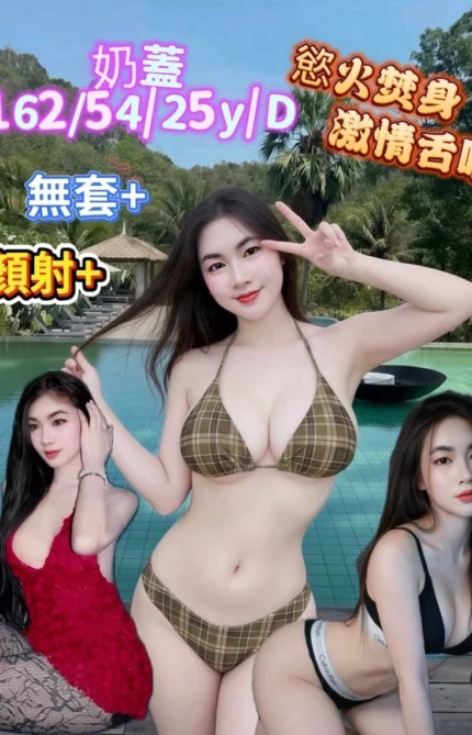 台南定點茶-奶蓋/162/54/25/D