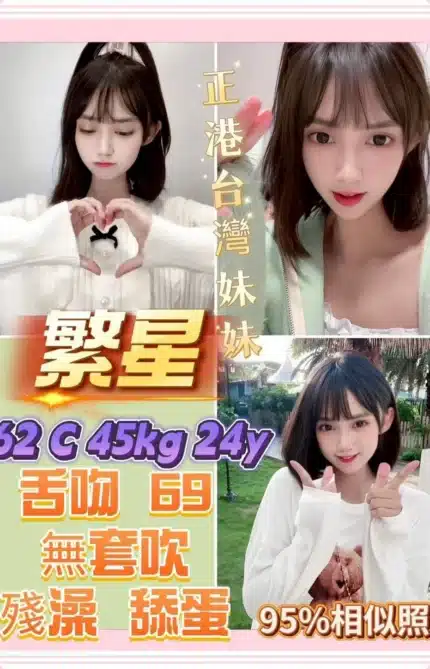 新北定點茶-繁星/162/45/24/C