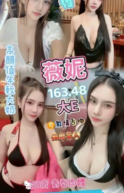 桃園定點茶-薇妮/163/48/23/E