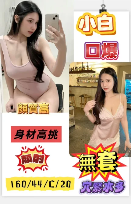 台南定點茶-小白/160/44/20/C