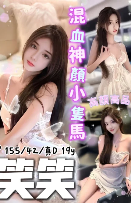 台中定點茶-笑笑/155/42/19/D