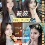 台北定點茶-筱筱/155/40/19/C