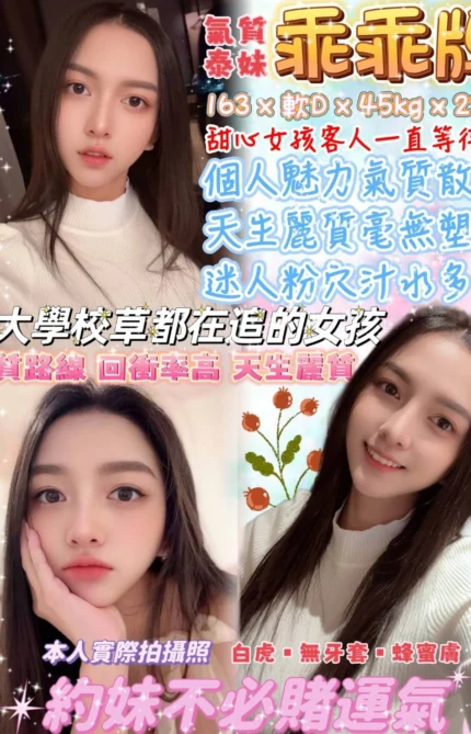 台北定點茶-乖乖牌/163/45/22/D