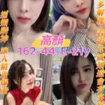 桃園定點茶-高顏/162/44/21/E