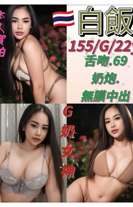 台北定點茶-白飯/155/48/22/G