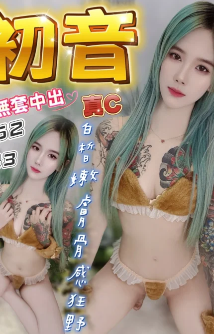 台中定點茶-初音/162/43/?/C