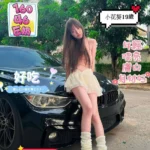 台南定點茶-小花葵/160/46/19/E