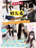 新竹定點茶-野久希/160/48/22/D