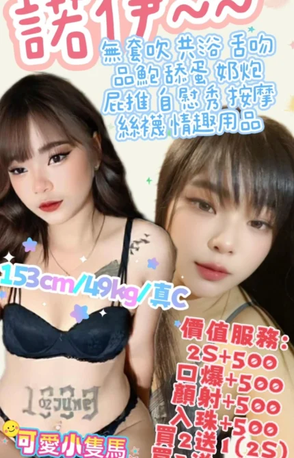 雲林定點茶-諾伊/153/49/?/C