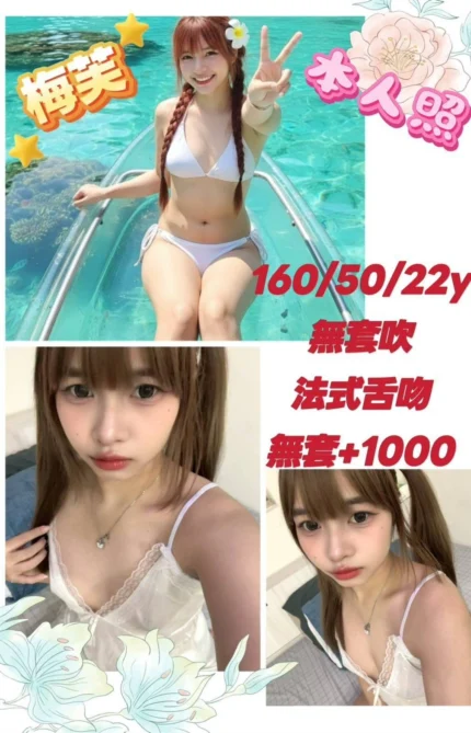 新北定點茶-梅芙/160/50/22/D