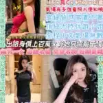 台北定點茶-新女帝/165/47/21/C