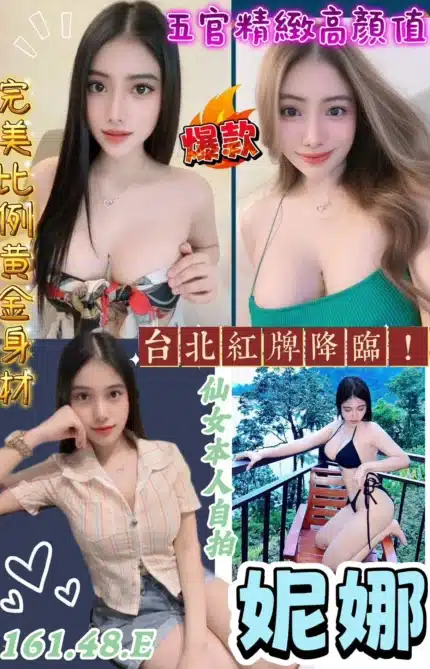 桃園定點茶-妮娜/161/48/?/E