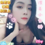 台南定點茶-香奈/156/47/26/B