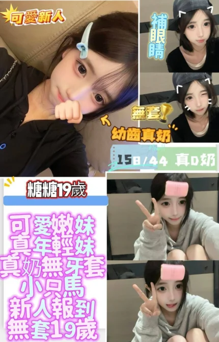 台南定點茶-糖糖/158/44/19/D