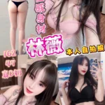 台中定點茶-林薇/162/47/19/D