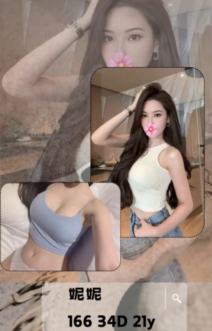 台北外送茶-妮妮/166/?/21/D