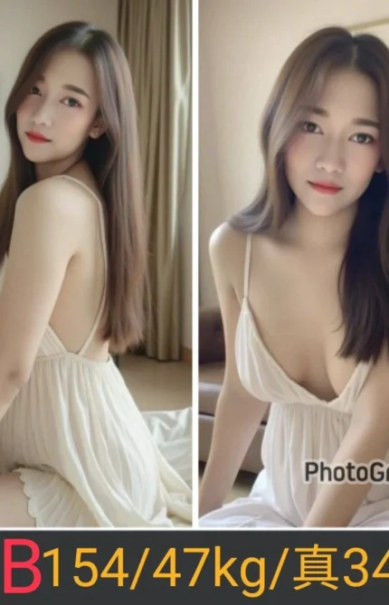 南投定點茶-BB/154/47/26/C