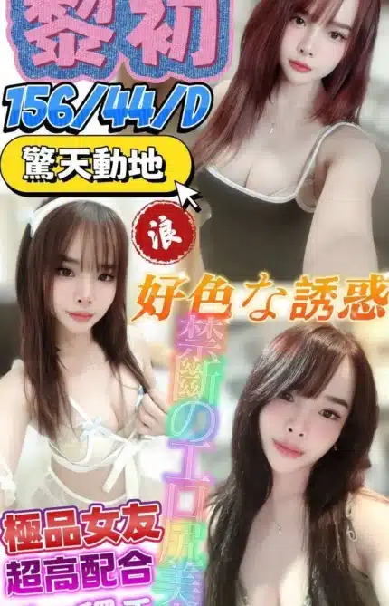 屏東定點茶-黎初/156/44/?/D