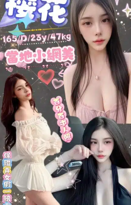 台北定點茶-櫻花/165/47/23/D