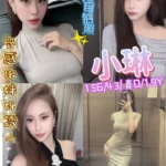 新北定點茶-小琳/156/43/19/D