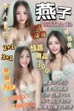 苗栗定點茶-燕子/155/46/20/D