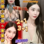 桃園定點茶-裴裴/153/40/22/C