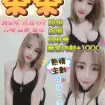 宜蘭定點茶-茶茶/160/46/24/C