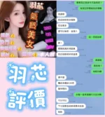 台南定點茶-羽芯/158/42/20/E