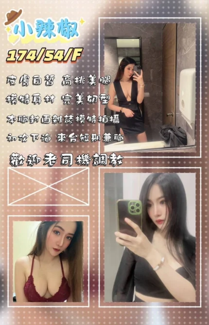 屏東定點茶,外送茶-小辣椒/174/54/24/F