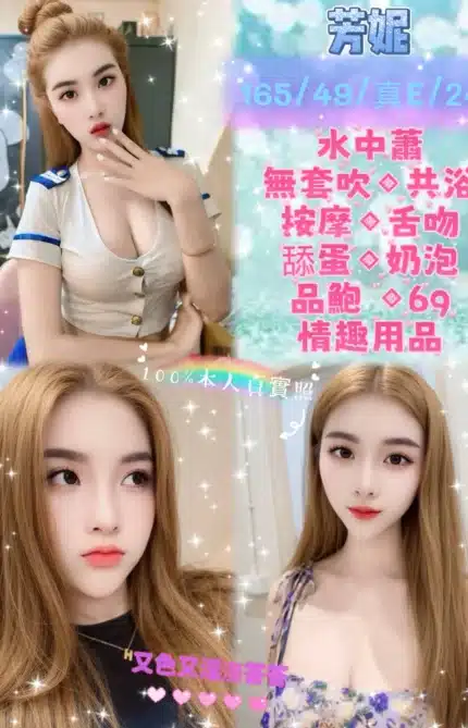 新北定點茶-芳妮/165/49/24/E