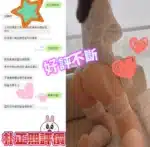 台中定點茶-朴正熙/160/45/26/E