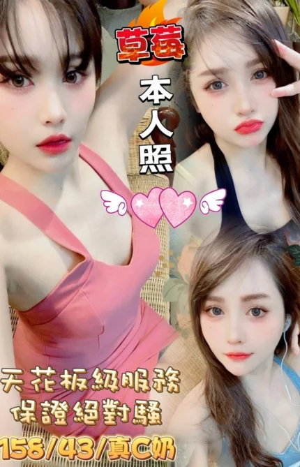 嘉義定點茶-草莓/158/43/22/C