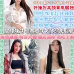 台北定點茶-陳喬恩/153/43/23/D