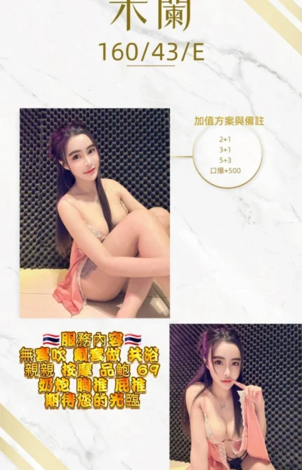 桃園定點茶-米蘭/160/43/21/E