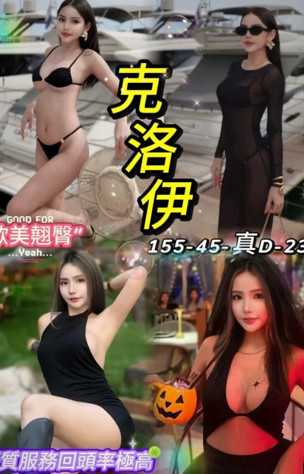 台北定點茶-克洛伊/155/45/23/D