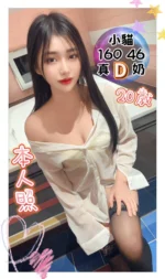 台中定點茶-小貓/160/46/20/D