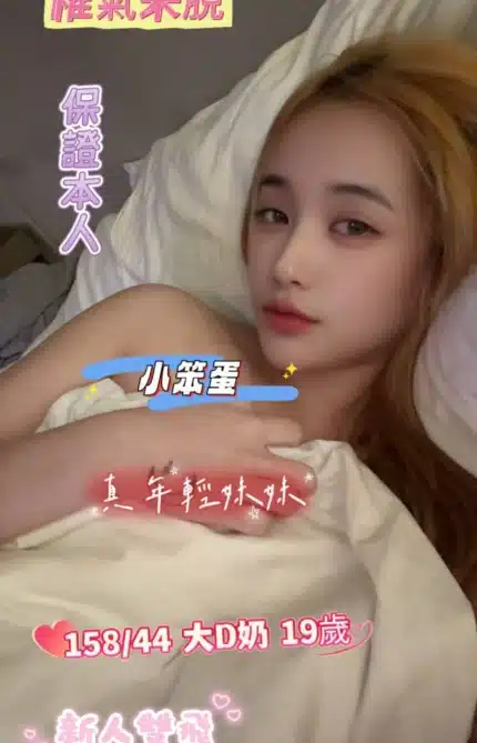 台南定點茶-小笨蛋/158/44/19/D