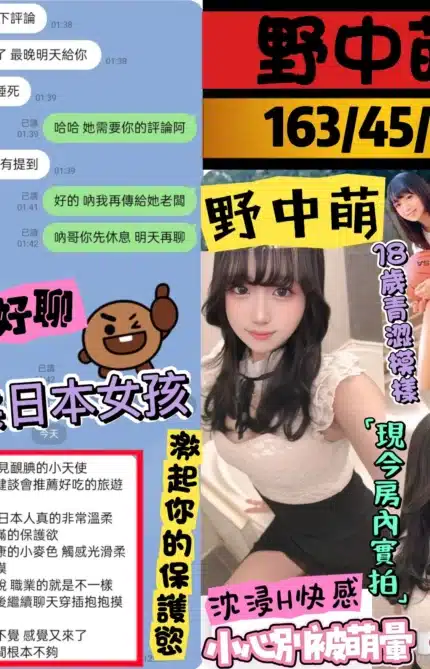 台中外送茶-野中萌/163/45/24/E