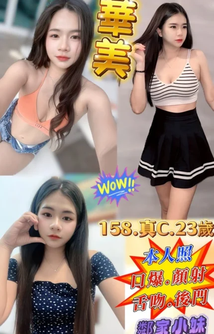 新北定點茶-華美/158/47/23/C