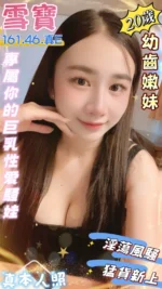 台南定點茶-雪寶/161/46/20/E