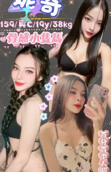 台北定點茶-妮奇/159/38/19/C