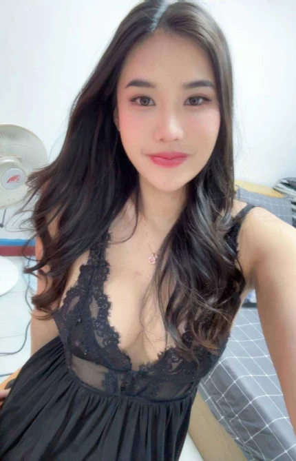 新竹定點茶-波堤/160/48/23/D