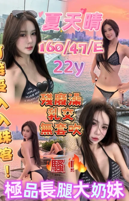 嘉義定點茶-夏天晴/160/47/22/E