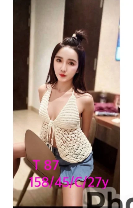 嘉義定點茶-T87/158/45/27/C