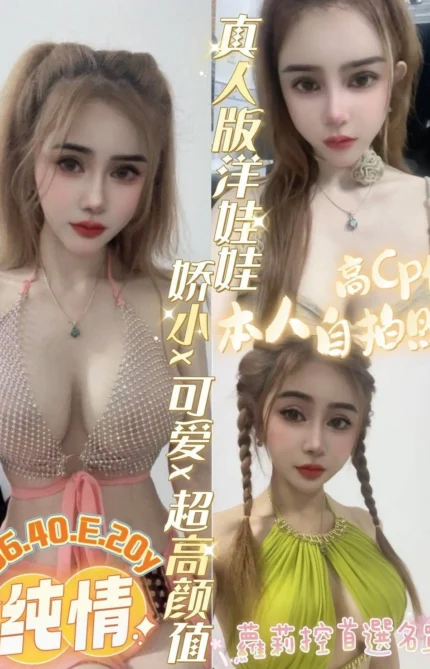 台南定點茶-純情/156/40/20/E