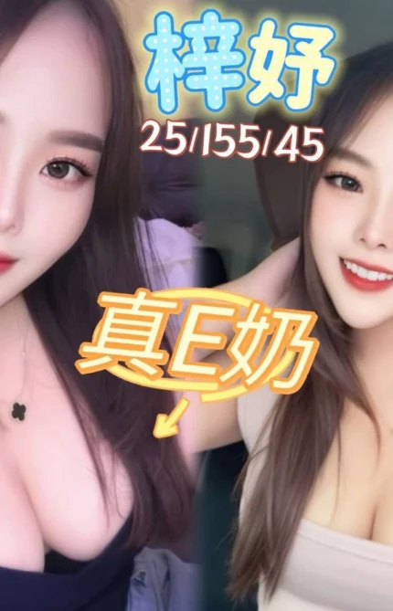 南投定點茶-梓妤/155/45/25/E