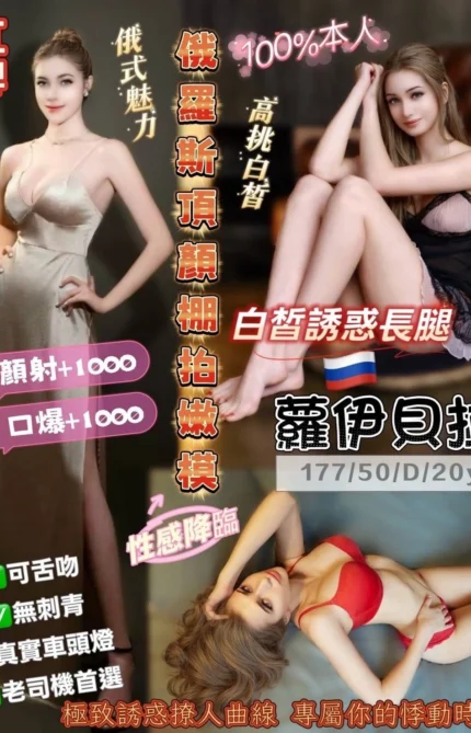 桃園定點茶-蘿伊貝拉/177/50/20/D